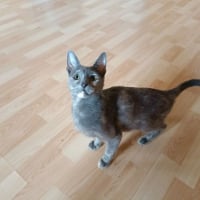Photo de Agata