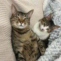 Photo de Dulce et Puchero