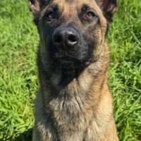 Photo de Ragnar