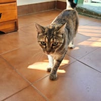 Photo de TALI