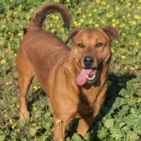 Photo de Tayson