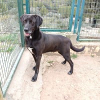 Photo de Kayu