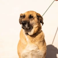 Photo de Lila