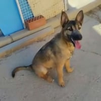 Photo de YAMAL