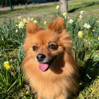 Photo de HAVANA