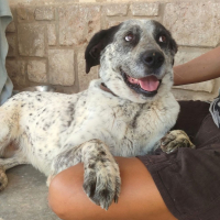Photo de YALA