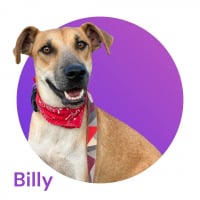 Photo de BILLY