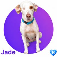Photo de JADE