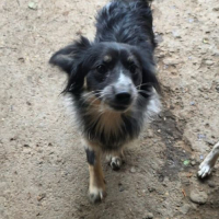 Photo de ZEUS