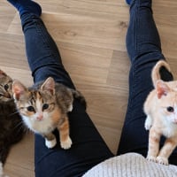 Photo de Bubble et Byron