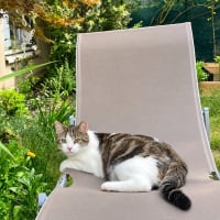 Photo de YUKI