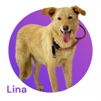 Photo de LINA