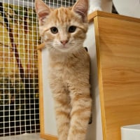 Photo de CARAMEL