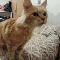 Photo de 🩷 Bistouri, 9 mois : une petite boule d’amour rien que pour vous !