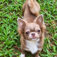 Photo de ANDZHELA
