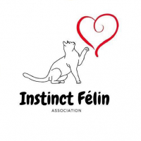 Photo de l'association "Instinct Félin"