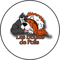 Photo de l'association "Les Boules de poils"