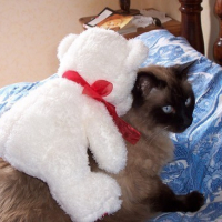 Photo #355 de Mimichat