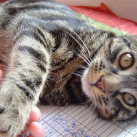 Photo #547 de Portalis