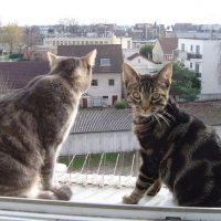 Photo #601 de Portalis