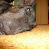 photo_006