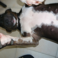 Photo #877 de Fibi