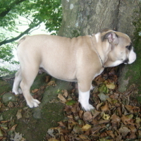 Photo #943 de Duddley