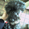 ma_cocote