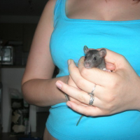 Photo #3517 de Yoshi