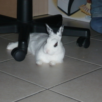 Photo #3913 de Martin