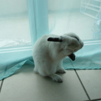 Photo #3925 de Martin