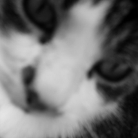 Photo #4165 de Truc