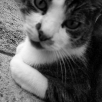 Photo #4177 de Truc