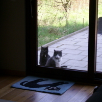 Photo #4255 de Mr black
