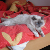 Photo #4669 de Skippy