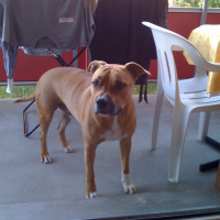 phootos_iphone_034