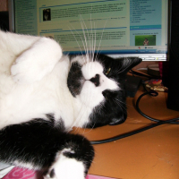 Photo #5215 de Cool