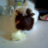 Photo #5473 de Yumi