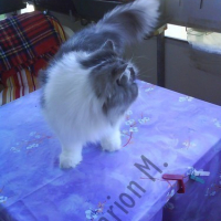 Photo #5869 de Zoulou