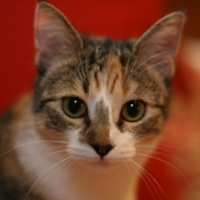 Photo #6415 de Nessy