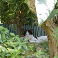 Mon endroit préferé quand il fait chaud