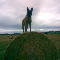 Photo012