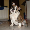 Copie_de_DSC00036