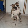 trop bu!?!