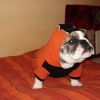DSC00186