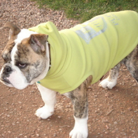 Photo #7441 de Sancho
