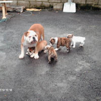 Photo #7507 de Sancho