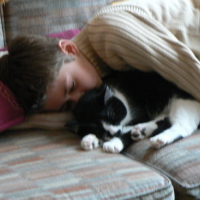 Photo #7891 de Berlioz