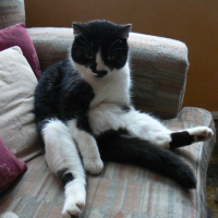 Photo #7909 de Berlioz