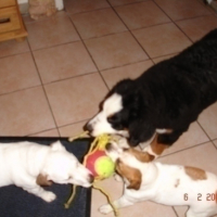 Photo #8071 de Wanda